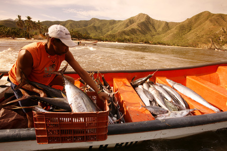 a fishermen at the coast in the town of  chuao on the caribbean coast in Venezuela.