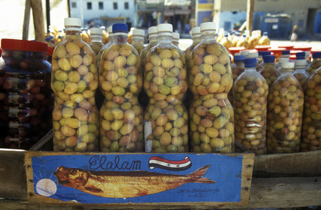 olives at the market the old town of the Oasis and village of Siwa in the lybian or western desert of Egypt in north africaのeditorial素材