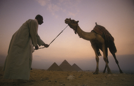 the pyramids pf giza near the city of Cairo the capital of Egypt in north africaのeditorial素材