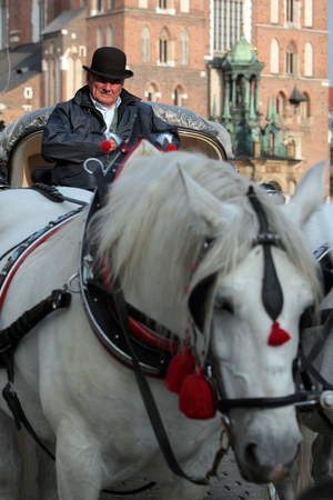 a horse drawn carriage at the Rynek Glowny square with the church of St Mary in the old town of Cracow in Poland in east Europe.のeditorial素材