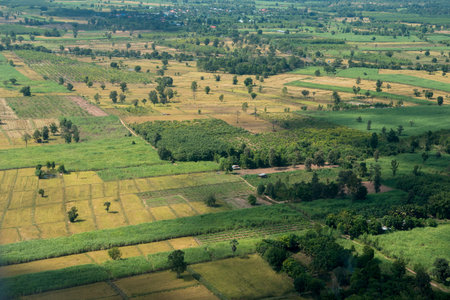 the landscape and Fields near the city of Buri Ram in Isan in Thailand.