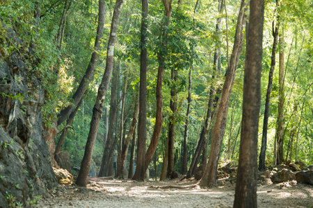 the Hillfire Pass of the Burma-Thailand Railway Construction of the World War 2 north of the City of...