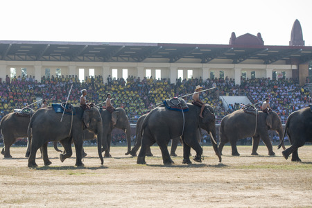 the big Elephant show in the Stadium at the Elephant Round-up Festival in the city of Surin in Northeastern Thailand in Southeastasia.のeditorial素材