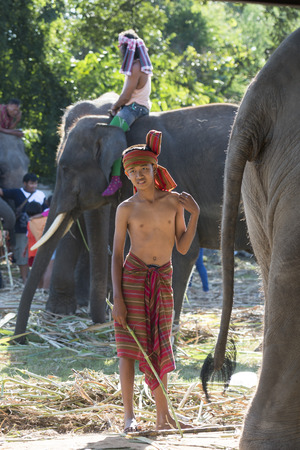 the big Elephant show in the Stadium at the Elephant Round-up Festival in the city of Surin in Northeastern Thailand in Southeastasia.のeditorial素材