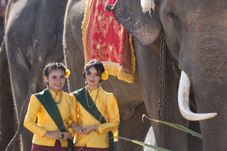 the big Elephant show in the Stadium at the Elephant Round-up Festival in the city of Surin in Northeastern Thailand in Southeastasia.のeditorial素材