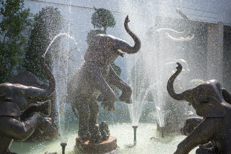 a elephant fontain at the Elephant Round-up Festival in the city of Surin in Northeastern Thailand in Southeastasia.のeditorial素材