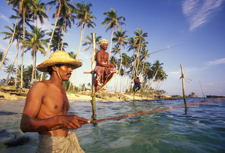 Fishermen at the coast of Weligama in the southwest of Sri Lanka in Asien.のeditorial素材