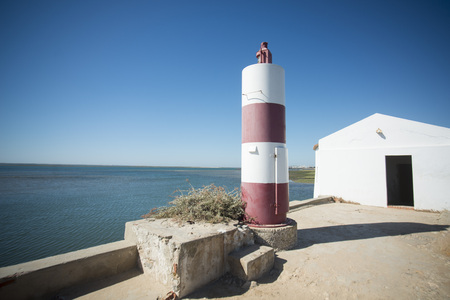 the natural Park of Quinta de marim of Ria Formosa near the Town of Olhao at the east Algarve in the south of Portugal in Europe.の写真素材