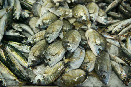 the fish Market in the Market Hall  the Old Town of Olhao at the east Algarve in the south of...