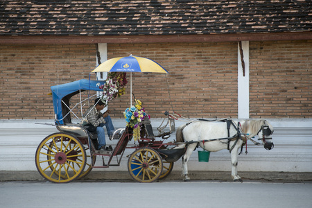 a horse carriage at the Wat Prathat Lampang Luang near of the city of Lampang in North Thailand.のeditorial素材