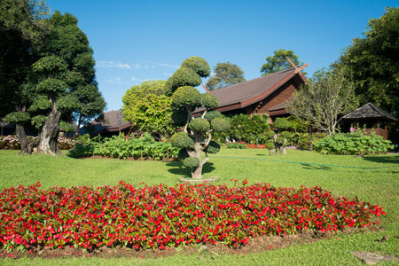 the Doi Tung Royal Villa at the village of  Doi Tung north of the city of Chiang Rai in North Thailand.のeditorial素材