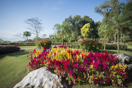the Doi Tung Royal Villa at the village of  Doi Tung north of the city of Chiang Rai in North Thailand.のeditorial素材
