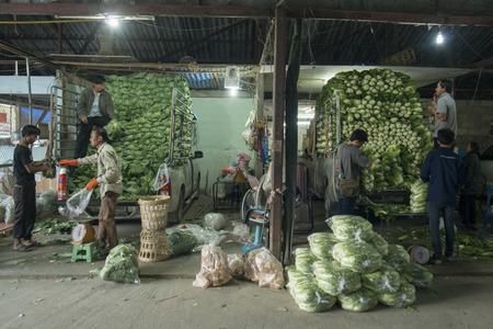 fresh fegetable from the farmers at a market in the city of Chiang Rai in North Thailand.のeditorial素材