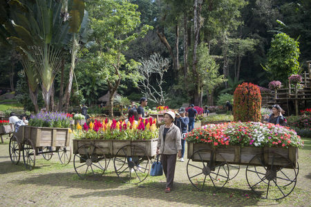 the Mae Fah Luang ornamental garden at the village of  Doi Tung north of the city of Chiang Rai in North Thailand.のeditorial素材