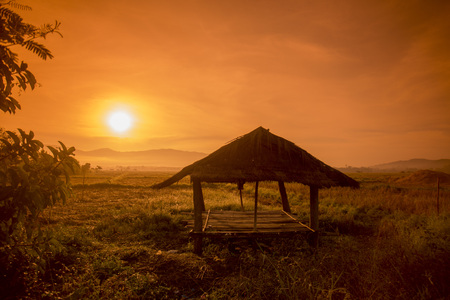 the landscape in the mornig fog in the province of Chiang Rai in North Thailand.の写真素材