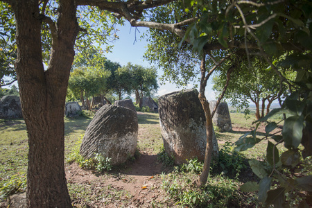 the plain of jars site 2 in the morning near the town of Phonsavan in the province Xieng Khuang in north Lao in southeastasia.の写真素材