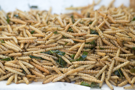 insects and worms at a market in the city of Chiang Rai in North Thailand.の写真素材