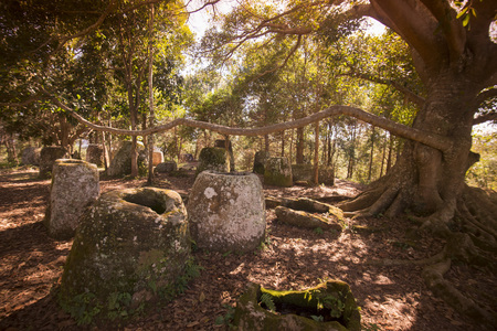 the plain of jars site 2 in the morning near the town of Phonsavan in the province Xieng Khuang in north Lao in southeastasia.の写真素材