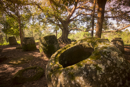 the plain of jars site 2 in the morning near the town of Phonsavan in the province Xieng Khuang in north Lao in southeastasia.の写真素材