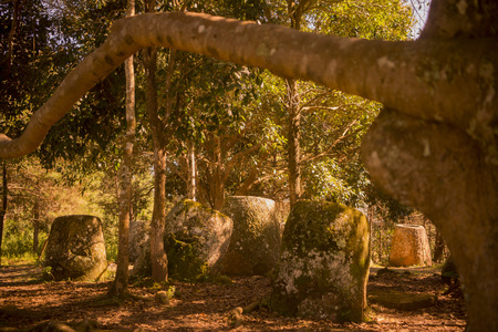 the plain of jars site 2 in the morning near the town of Phonsavan in the province Xieng Khuang in north Lao in southeastasia.の写真素材