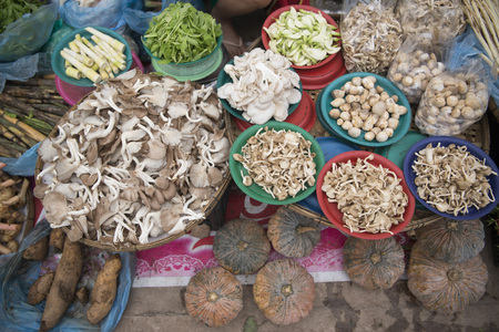 Mushrooms at the Taalat Sao market in the city of vientiane in Laos in the southeastasia.のeditorial素材