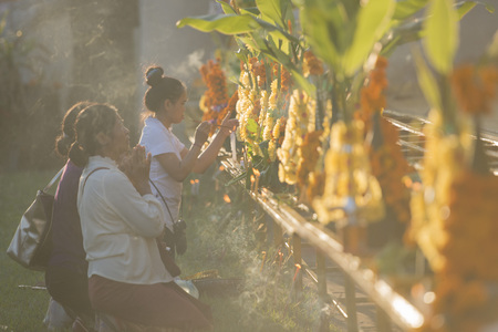 People at a ceremony at the Pha That Luang Festival in the city of vientiane in Laos in the southeastasia.のeditorial素材
