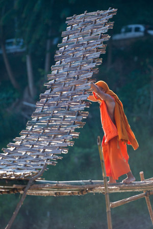the construction of the Bamboo Bridge over the Nam Khan river in the town of Luang Prabang in the north of Laos in Southeastasia.のeditorial素材