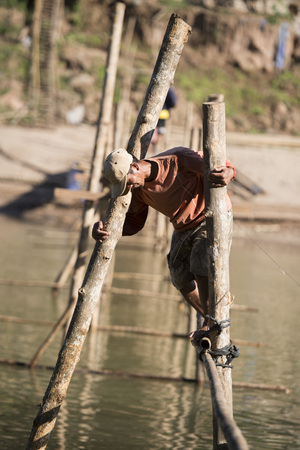 the construction of the Bamboo Bridge over the Nam Khan river in the town of Luang Prabang in the north of Laos in Southeastasia.のeditorial素材