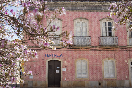 a old House in the old Town of Silves at the Algarve of Portugal in Europe.のeditorial素材