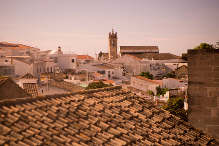 the old town of Loule at the Algarve of Portugal in Europe.
