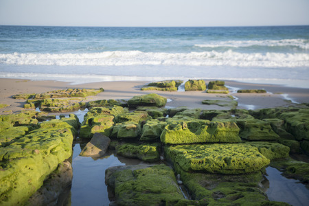 the beach at the village of Luz at the Algarve of Portugal in Europe.の写真素材