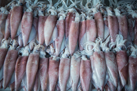 squides at the fish market at the town of Ang Sila near Bang Saen in the Provinz Chonburi in...
