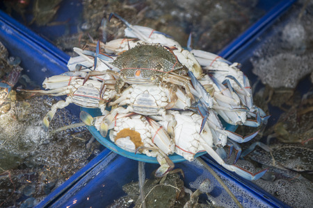 fresh crab at the fish marketの写真素材