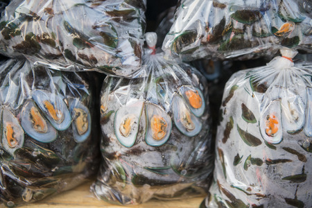 mussels at the fish market at the town of Ang Sila near Bang Saen in the Provinz Chonburi in Thailand.  Thailand, Chonburi, November, 2017の写真素材