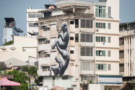 a Elephant graffity at a house at the chao phraya river in the city of Bangkok in Thailand.  Thailand, Bangkok, November, 2017のeditorial素材