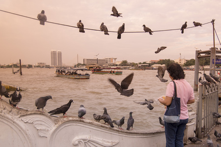 the chao phraya river at the Wat Kalayanamit at Bangkok Noi in Thonburi in the city of Bangkok in Thailand.  Thailand, Bangkok, November, 2017のeditorial素材