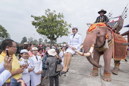gouvernment people posing on a elephant at the tradititional Longboat Race at the Mun river of the town of Satuek north of the city Buri Ram in Isan in Northeast thailand.  Thailand, Buriram, November, 2017のeditorial素材
