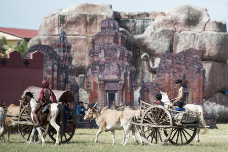 a traditional bullock cart at the Elaphant Show in the Stadium at the traditional Elephant Round Up Festival in the city of Surin in Isan in Thailand. Thailand, Isan, Surin, November, 2017のeditorial素材
