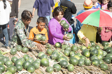 People taking the remaining fruits that are offered to the elephant during the traditional Elephant Round Up Festival in the city of Surin in Isan in Thailand. Thailand, Isan, Surin, November, 2017のeditorial素材