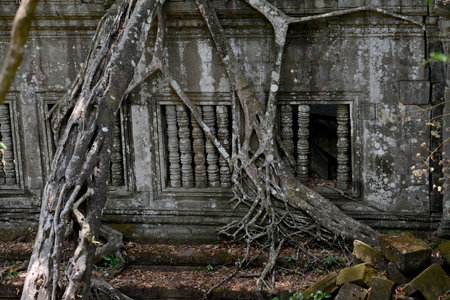 a window at the Tempel Ruins of Beng Mealea 32 Km north of the Temple City of Angkor near the City...