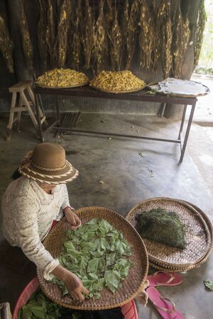 a silk production at the silk Island or Koh Dach near the city of Phnom Penh of Cambodia.  Cambodia, Phnom Penh, November, 2017,のeditorial素材