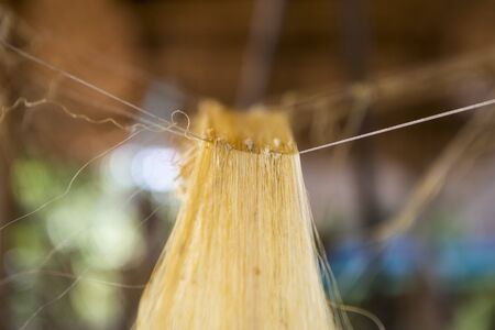 a silk production at the silk Island or Koh Dach near the city of Phnom Penh of Cambodia.  Cambodia, Phnom Penh, November, 2017,のeditorial素材