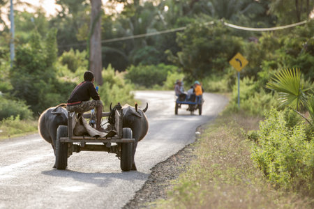 a Buffalo cart on a road near the city centre of Kampong Thom of Cambodia.  Cambodia, Kampong Thom,...
