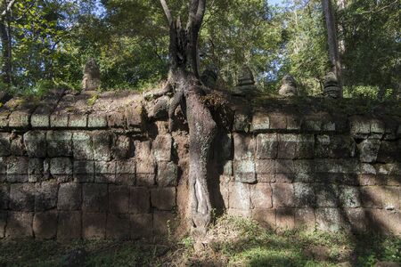 the Khmer Temples of Koh Ker east of the Town of Srayong west of the city Preah Vihear in Northwaest Cambodia.  Cambodia, Sra Em, November, 2017,のeditorial素材