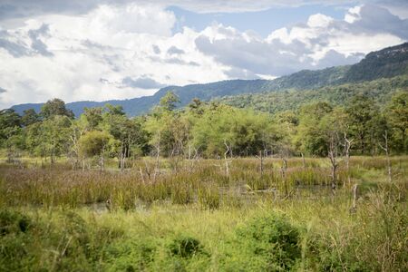 the landscape east of the Town of Sra Em north of the city Preah Vihear in Northwaest Cambodia.  Cambodia, Sra Em, November, 2017,のeditorial素材