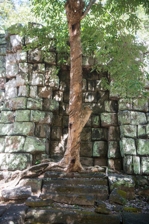 the Khmer Temples of Koh Ker east of the Town of Srayong west of the city Preah Vihear in Northwaest...