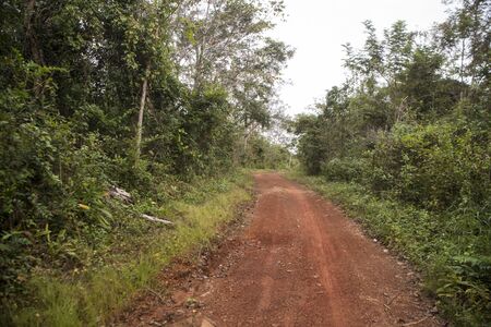 the road to the house of Pol Pot in the jungle on the Dangrek Mountain range near the town of Choam and north of the Town of Anlong Veng in the province of Oddar Meanchey in Northwaest Cambodia.  Cambodia, Anlong Veng, November, 2017,のeditorial素材