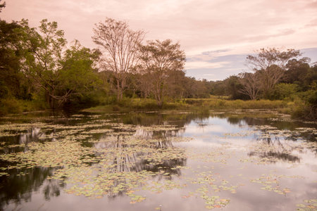the Ta Mok Lake at the Town of Anlong Veng in the province of Oddar Meanchey in Northwaest Cambodia....