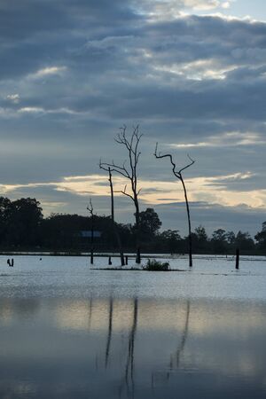 the Ta Mok Lake at the Town of Anlong Veng in the province of Oddar Meanchey in Northwaest Cambodia.  Cambodia, Anlong Veng, November, 2017,のeditorial素材