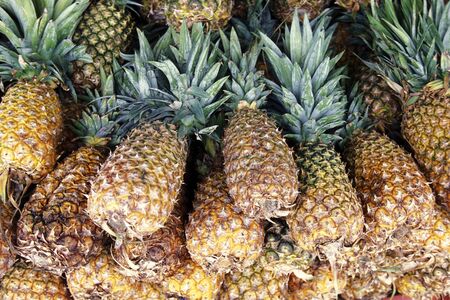 Pineapple at a market in the village on Isla Mujeres near the city of Cancun on Yucatan in the Province Quintana Roo in Mexico in Central America.     Mexico, Isla Mujeres, January 2009.のeditorial素材